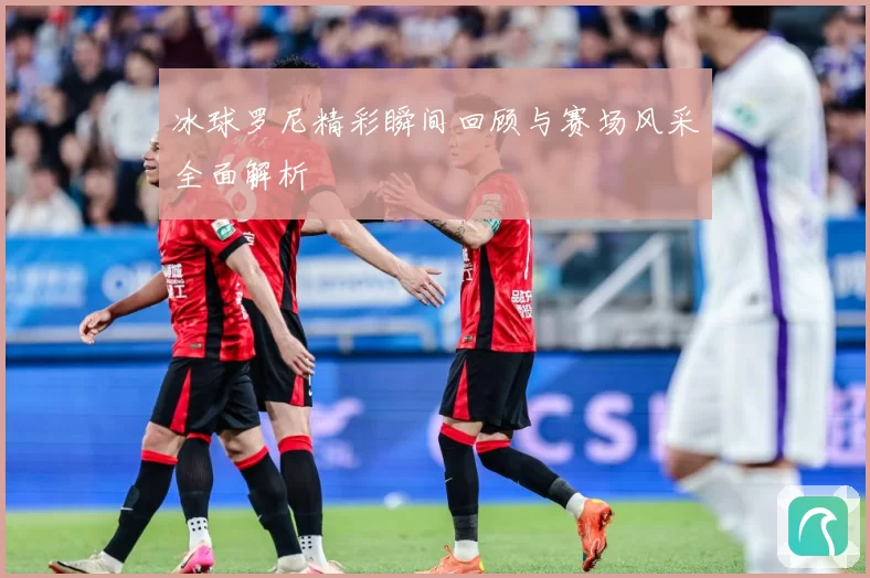 冰球罗尼精彩瞬间回顾与赛场风采全面解析
